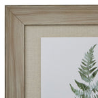 Washed Ferns Star Fronds Watercolour Artwork On Paper Washed Wood Frame