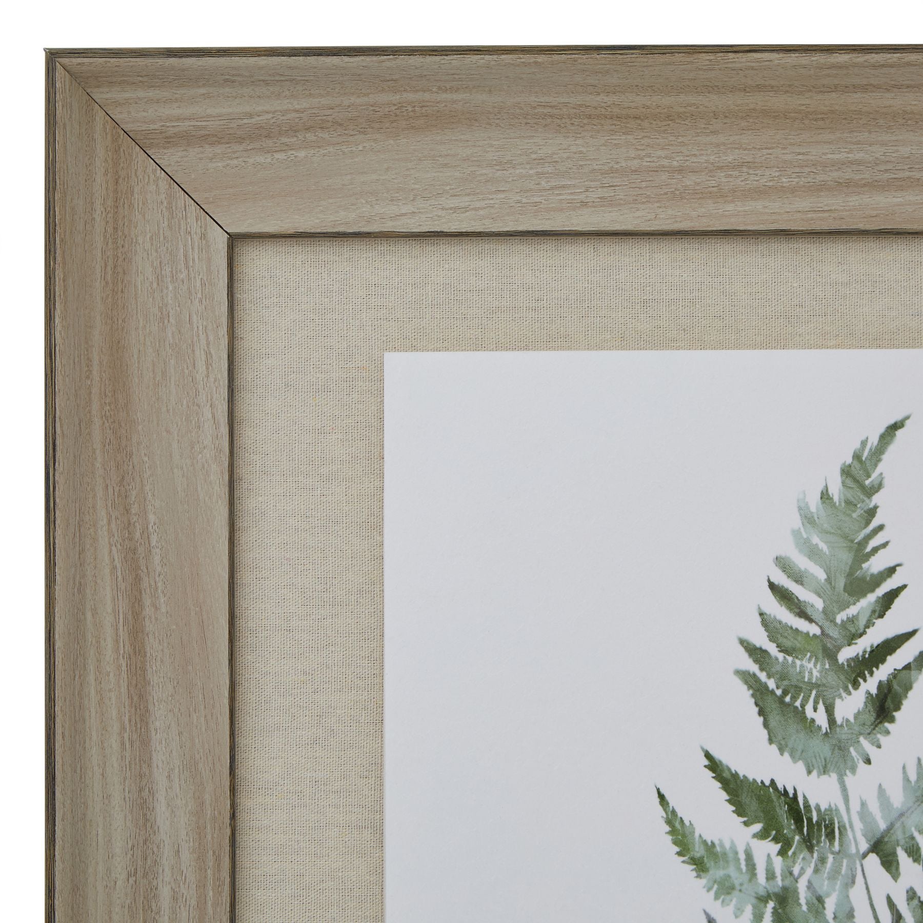 Washed Ferns Star Fronds Watercolour Artwork On Paper Washed Wood Frame
