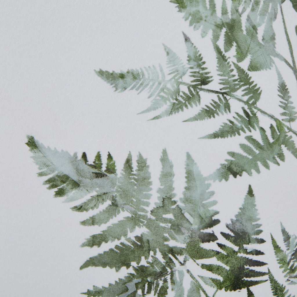 Washed Ferns Star Fronds Watercolour Artwork On Paper Washed Wood Frame