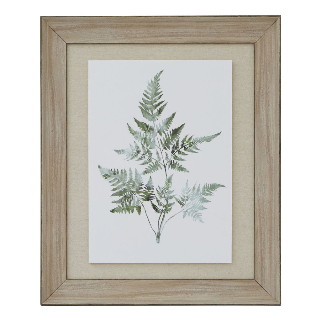 Washed Ferns Star Fronds Watercolour Artwork On Paper Washed Wood Frame Product Image