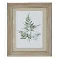 Washed Ferns Star Fronds Watercolour Artwork On Paper Washed Wood Frame Product Image