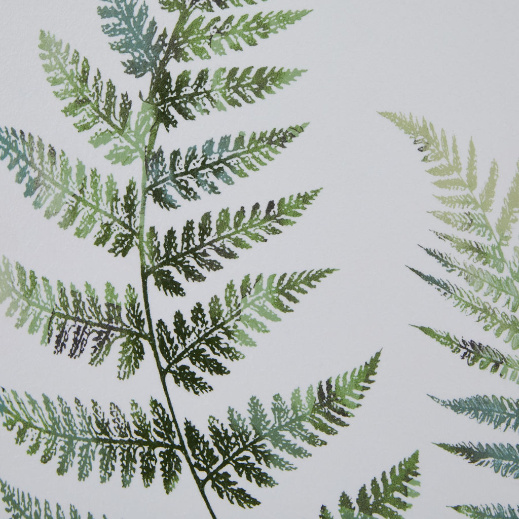 Washed Ferns Dancing Twins Watercolour Artwork On Paper Washed Wood Frame