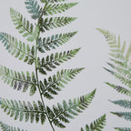 Washed Ferns Dancing Twins Watercolour Artwork On Paper Washed Wood Frame
