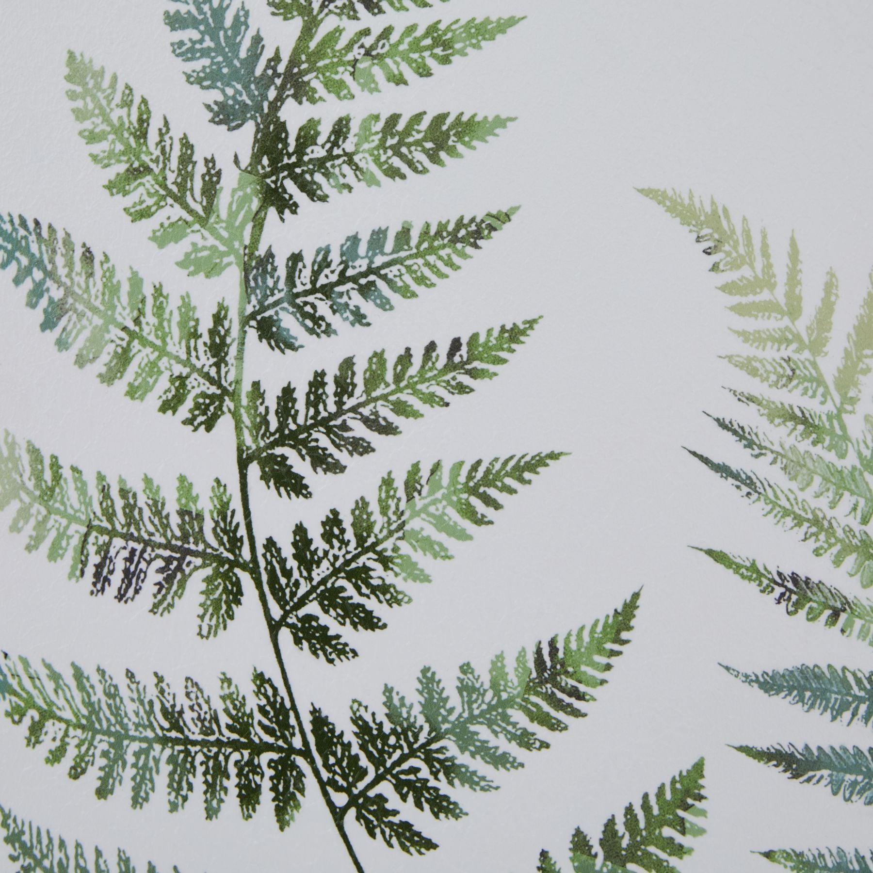 Washed Ferns Dancing Twins Watercolour Artwork On Paper Washed Wood Frame