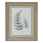 Washed Ferns Dancing Twins Watercolour Artwork On Paper Washed Wood Frame Product Image