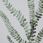 Washed Ferns Stretching for Light Watercolour Artwork On Paper Washed Wood Frame