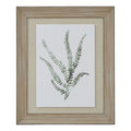 Washed Ferns Stretching for Light Watercolour Artwork On Paper Washed Wood Frame Product Image