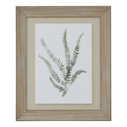 Washed Ferns Stretching for Light Watercolour Artwork On Paper Washed Wood Frame Product Image