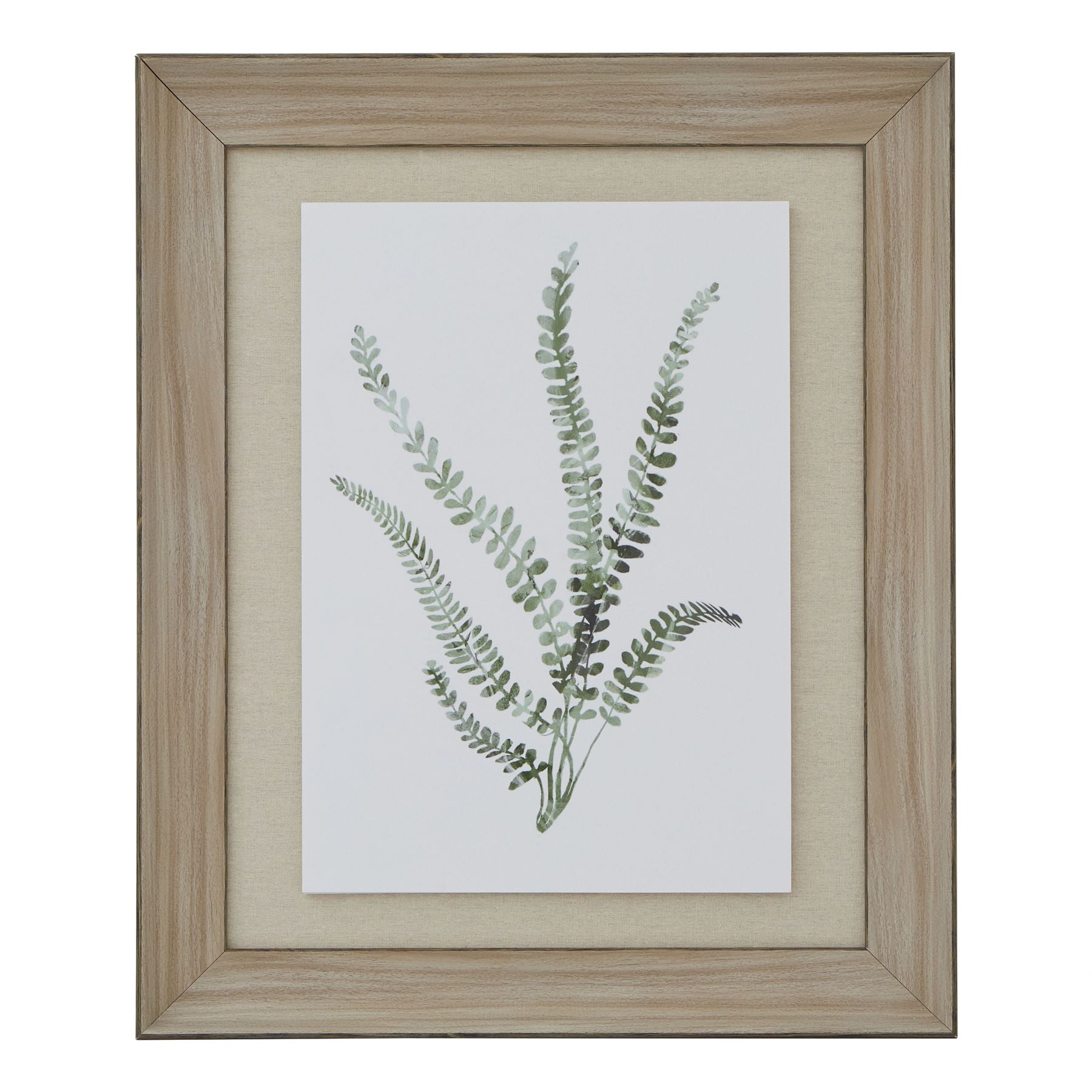 Washed Ferns Stretching for Light Watercolour Artwork On Paper Washed Wood Frame Product Image