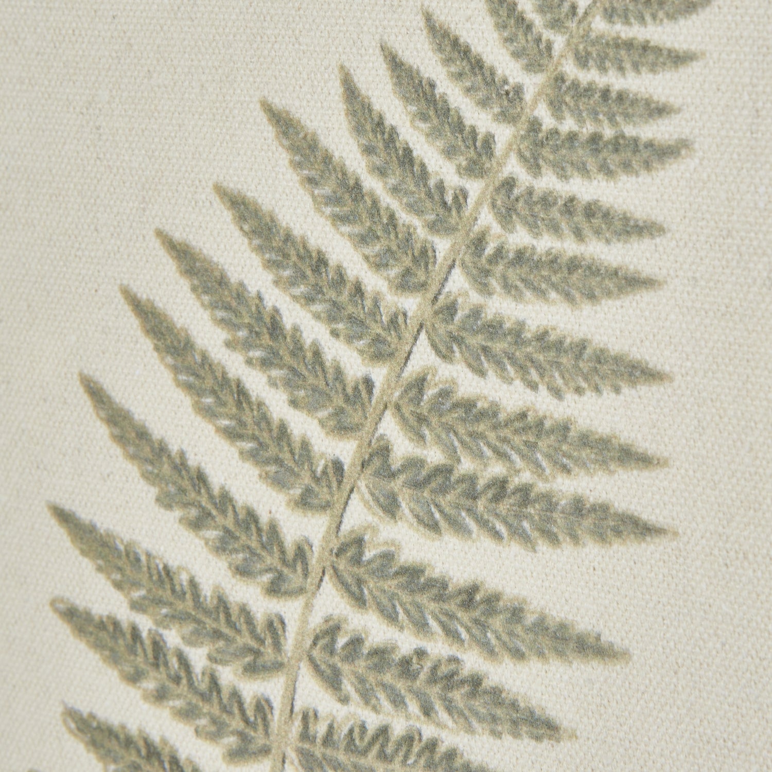 Delicate Fern Triple Frond Art Print On Torn Paper Beaded Wooden Frame