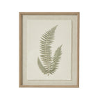 Delicate Fern Triple Frond Art Print On Torn Paper Beaded Wooden Frame Product Image