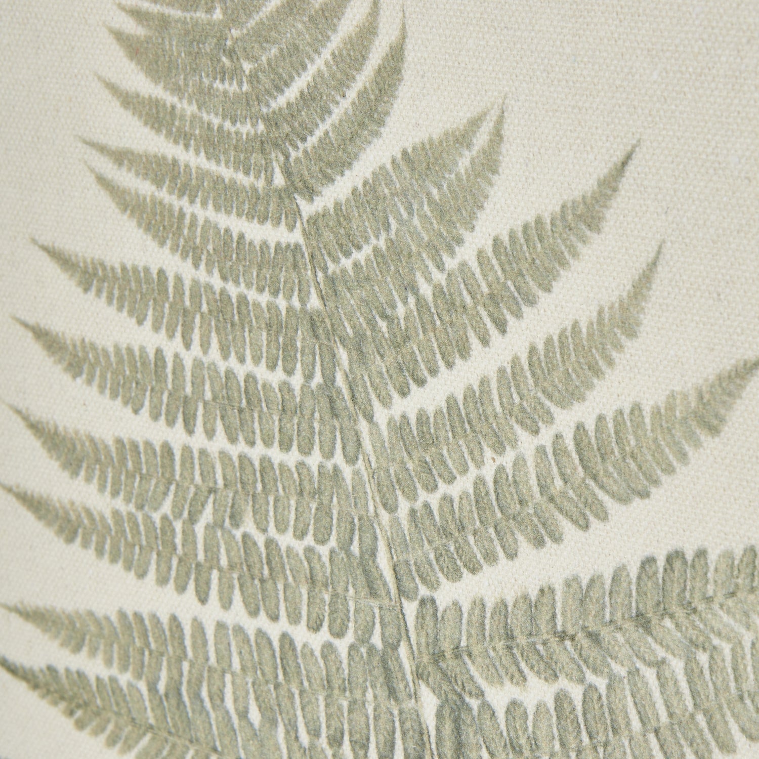Delicate Fern Single Frond Art Print On Torn Paper Beaded Wooden Frame
