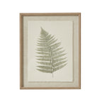 Delicate Fern Single Frond Art Print On Torn Paper Beaded Wooden Frame Product Image