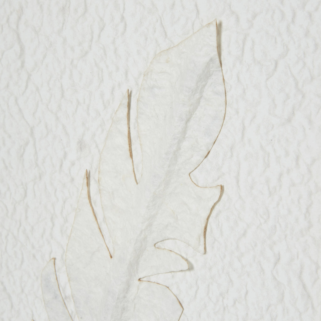 Feather Impressions Flight Cut Paper Collage Artwork On Canvas Mounted in Beaded Wooden Frame