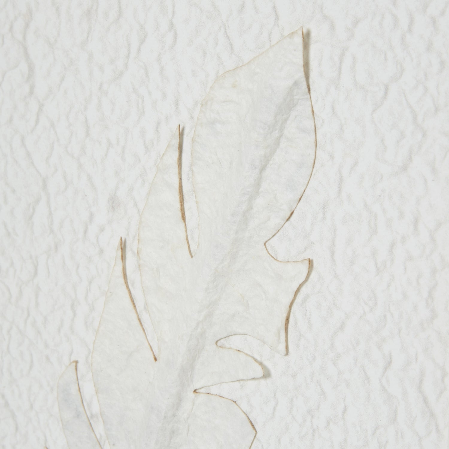 Feather Impressions Flight Cut Paper Collage Artwork On Canvas Mounted in Beaded Wooden Frame