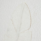 Feather Impressions Plume Cut Paper Collage Artwork On Canvas Mounted in Beaded Wooden Frame