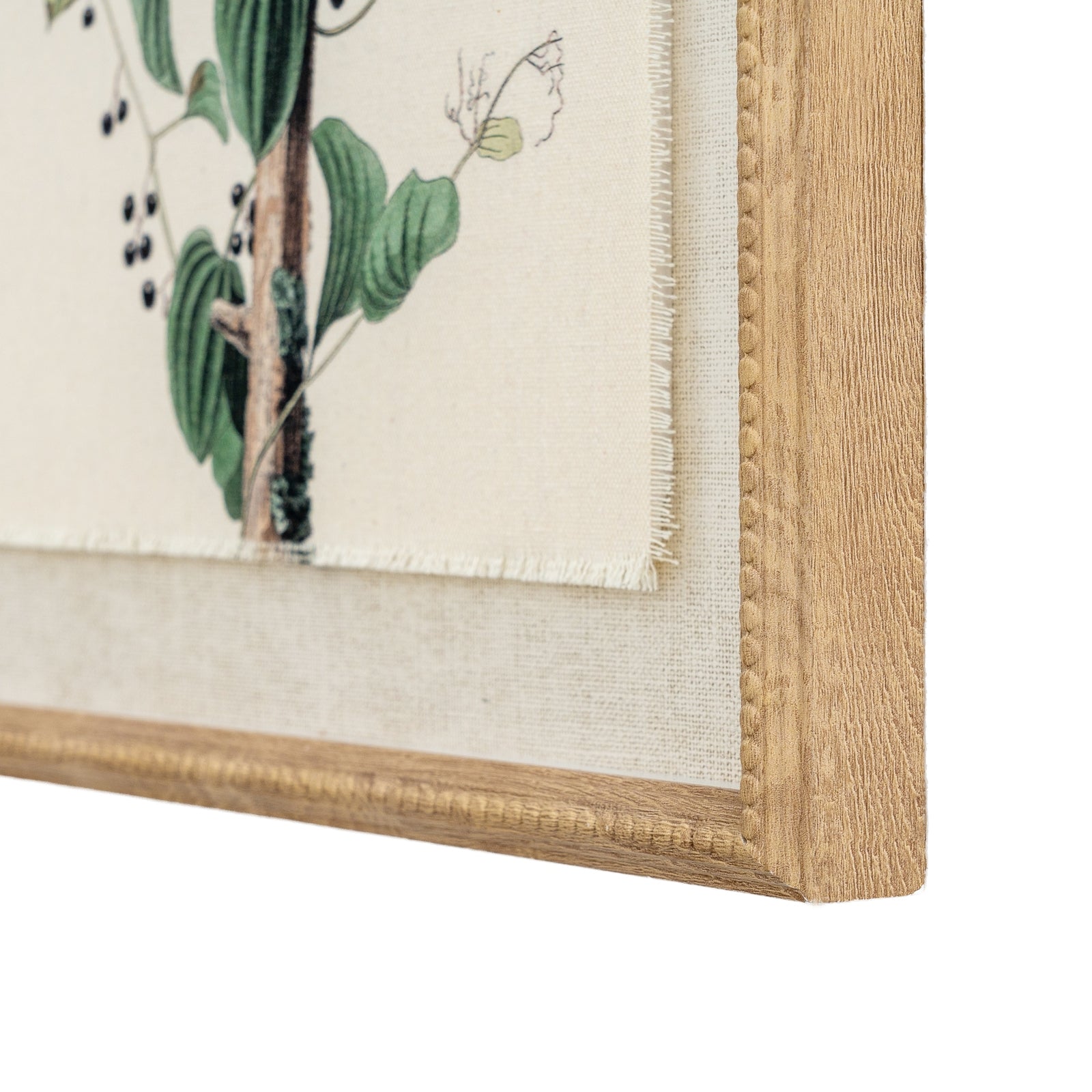 Flora & Fauna Study Fighting Shrikes Art Print On Linen Beaded Wooden Frame