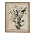 Flora & Fauna Study Fighting Shrikes Art Print On Linen Beaded Wooden Frame Product Image