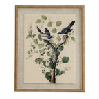 Flora & Fauna Study Fighting Shrikes Art Print On Linen Beaded Wooden Frame Product Image
