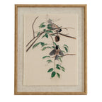 Flora & Fauna Study Chickadees Art Print On Linen Beaded Wooden Frame Product Image