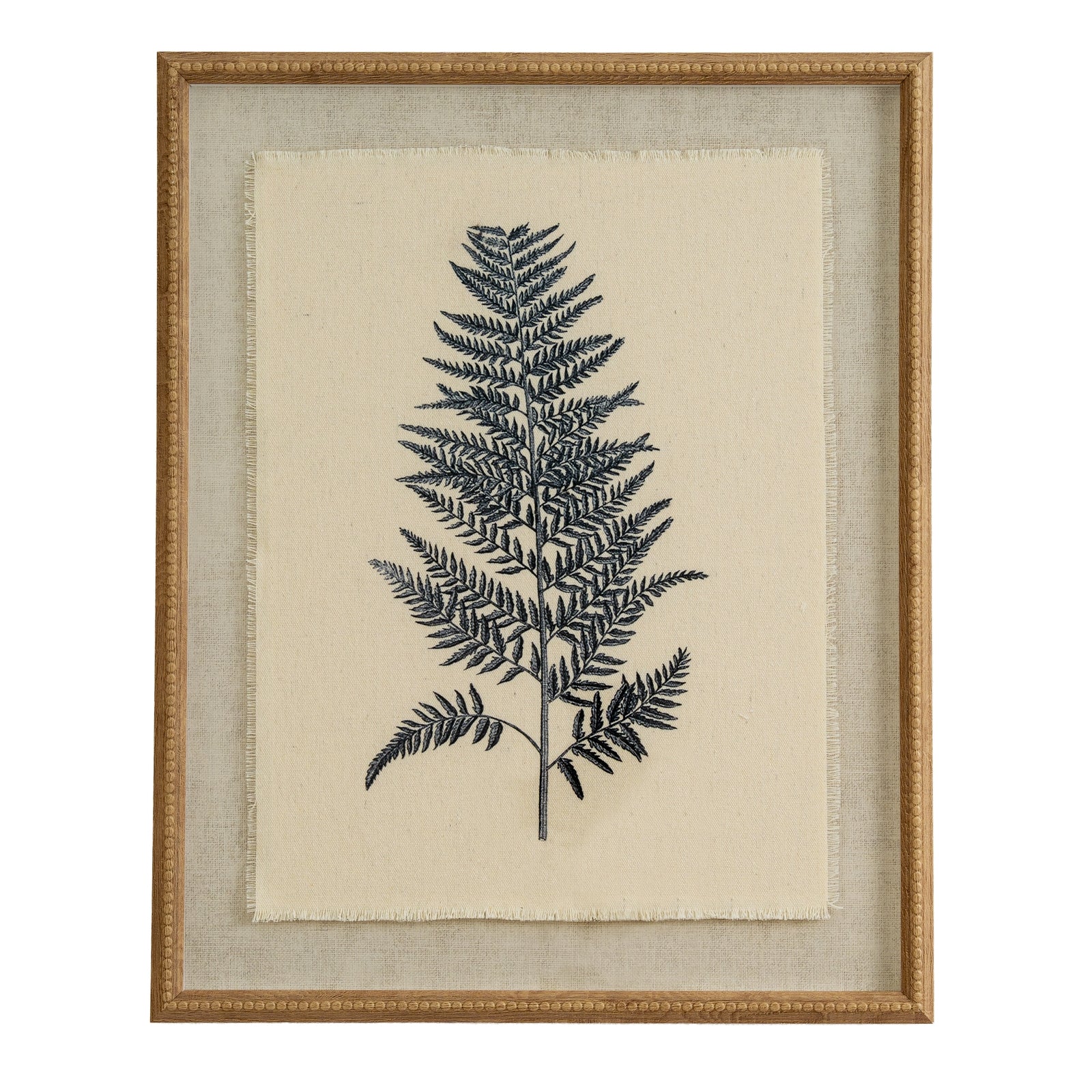 Flora & Fauna Study Fern Art Print On Linen Beaded Wooden Frame Product Image