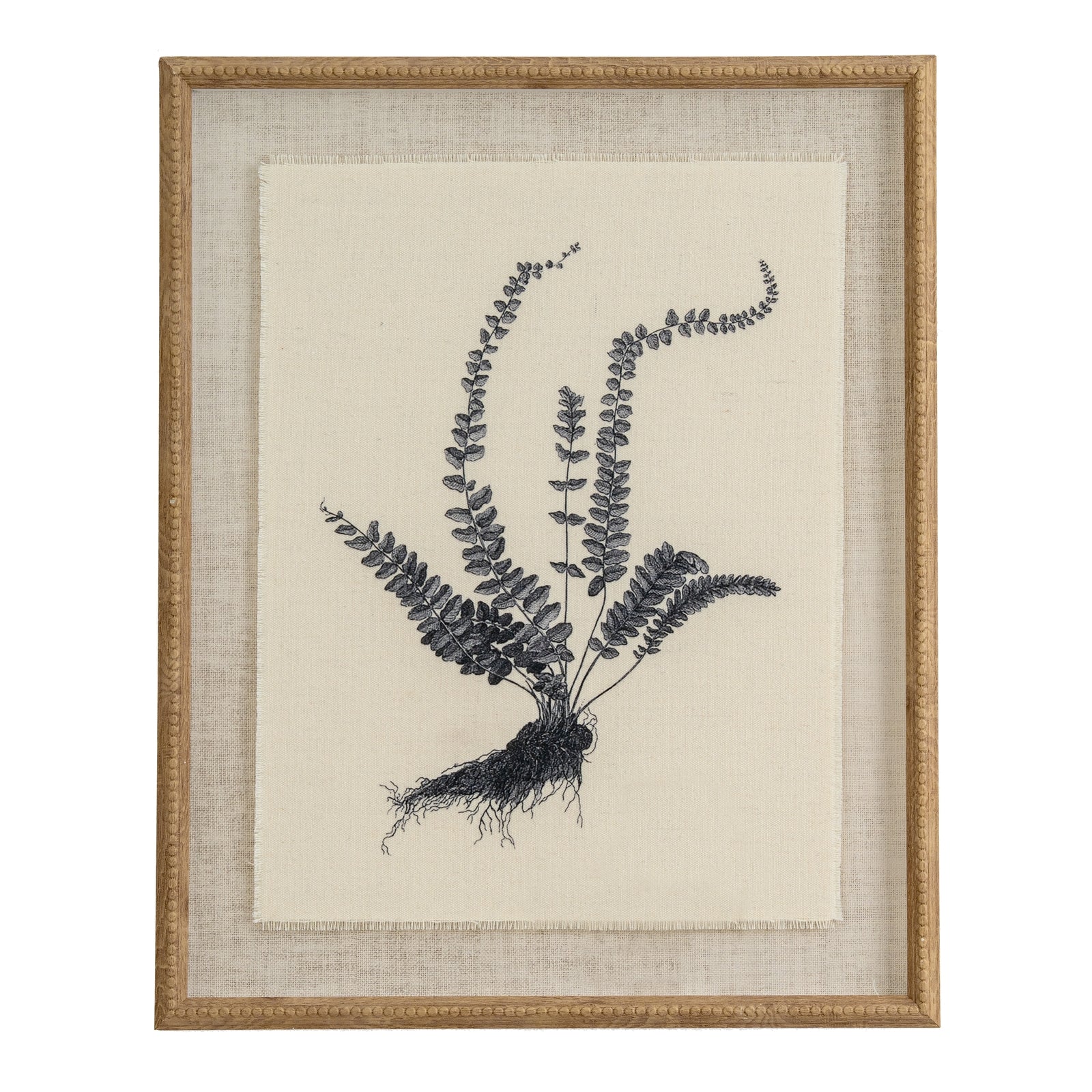 Flora & Fauna Study Spleenwort Art Print On Linen Beaded Wooden Frame Product Image