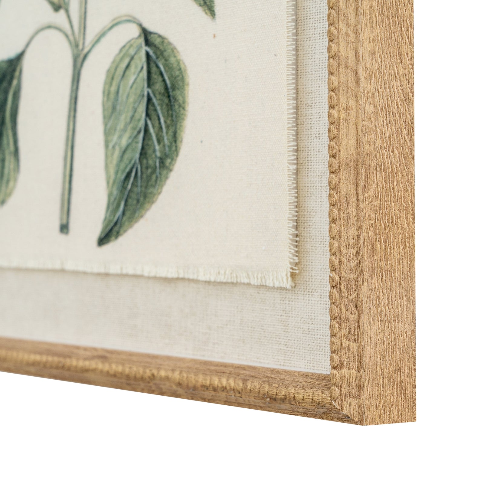 Flora & Fauna Study Salvia Art Print On Linen Beaded Wooden Frame