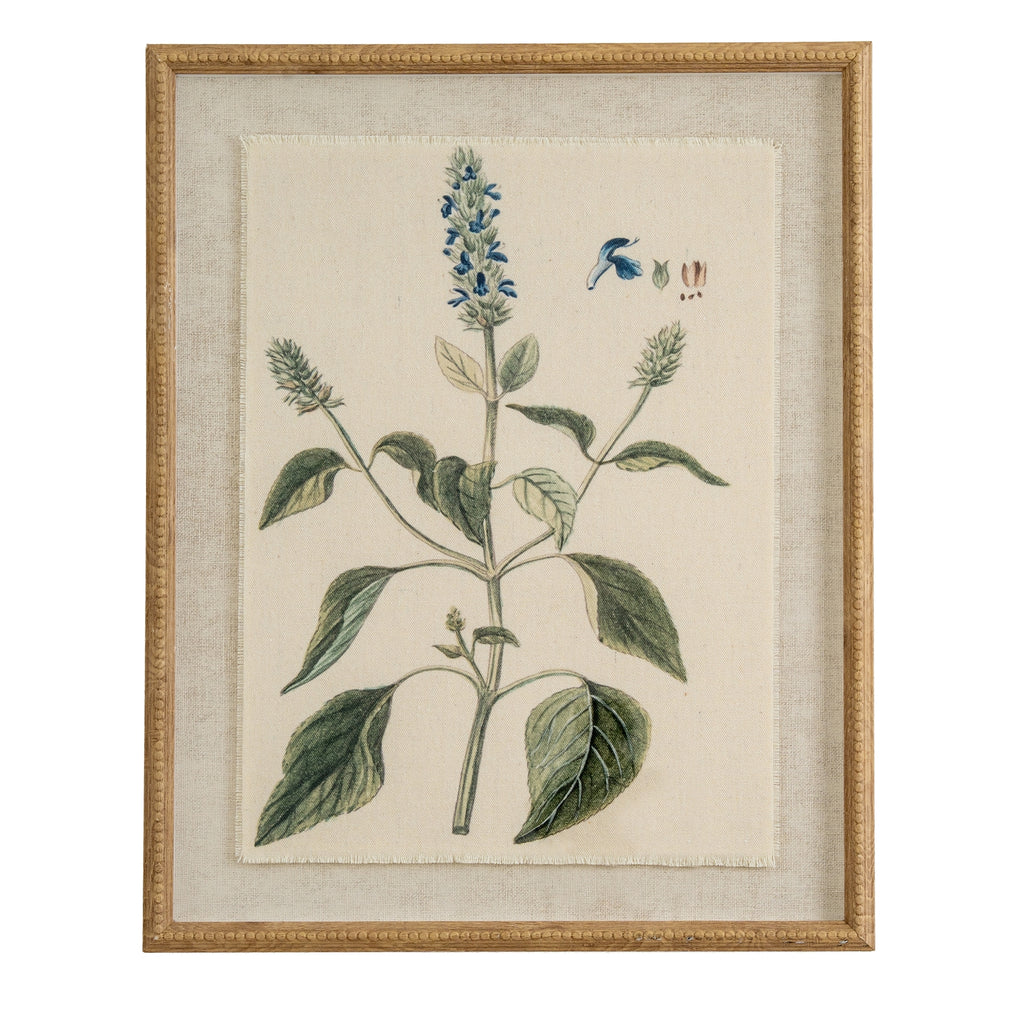 Flora & Fauna Study Salvia Art Print On Linen Beaded Wooden Frame Product Image