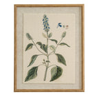Flora & Fauna Study Salvia Art Print On Linen Beaded Wooden Frame Product Image
