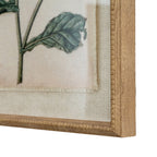 Flora & Fauna Study Borage Art Print On Linen Beaded Wooden Frame