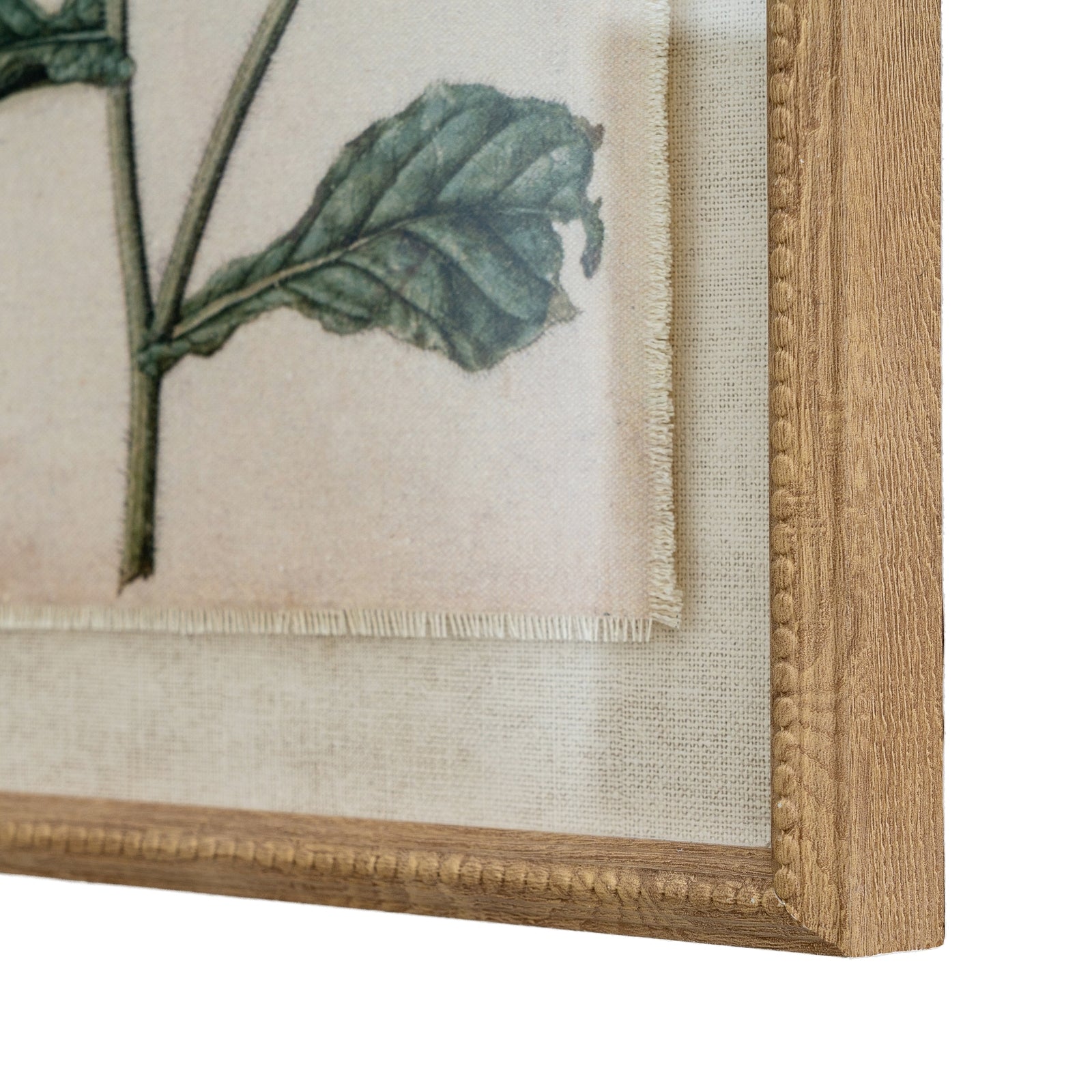 Flora & Fauna Study Borage Art Print On Linen Beaded Wooden Frame