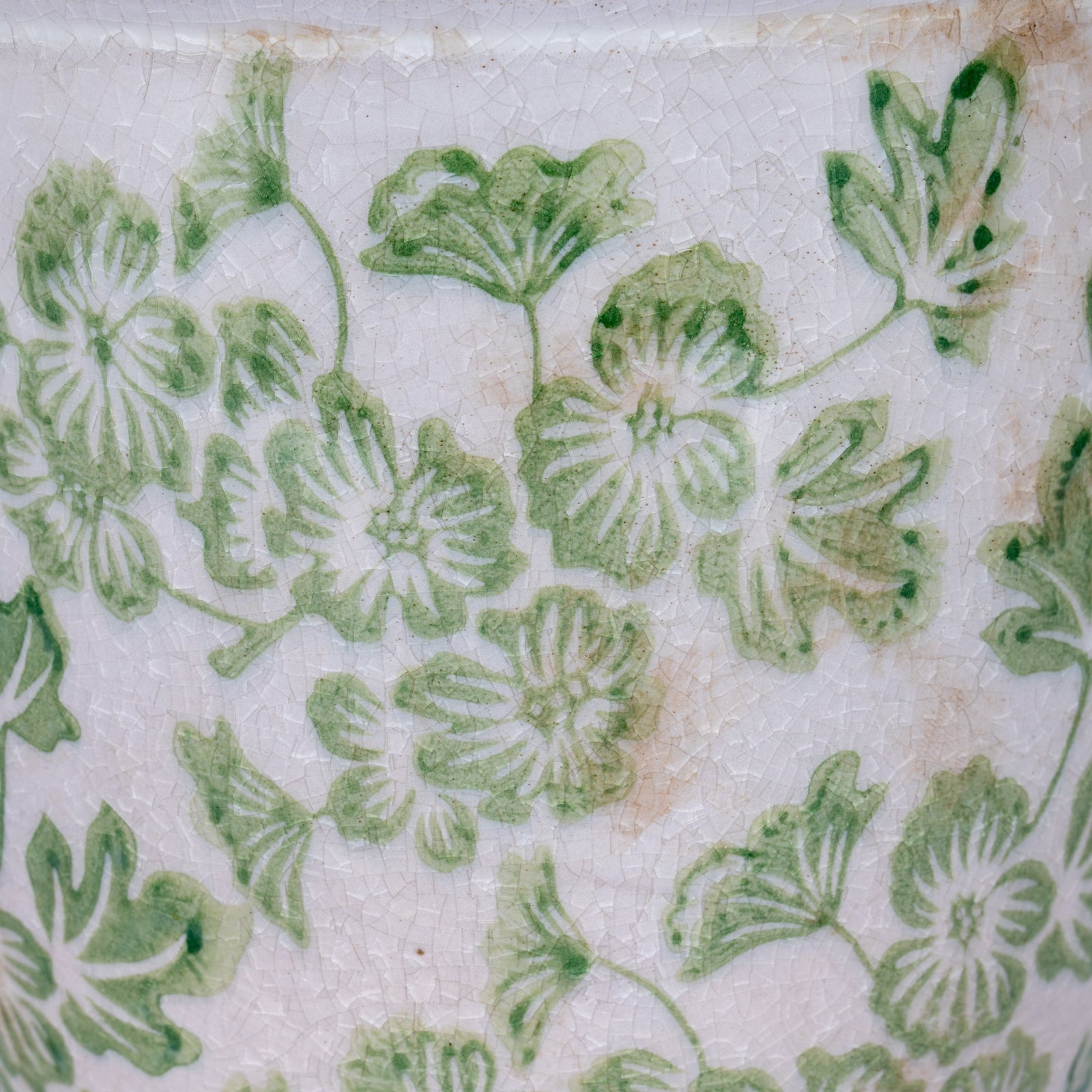Fern & Bloom Small Ceramic Planter Pot