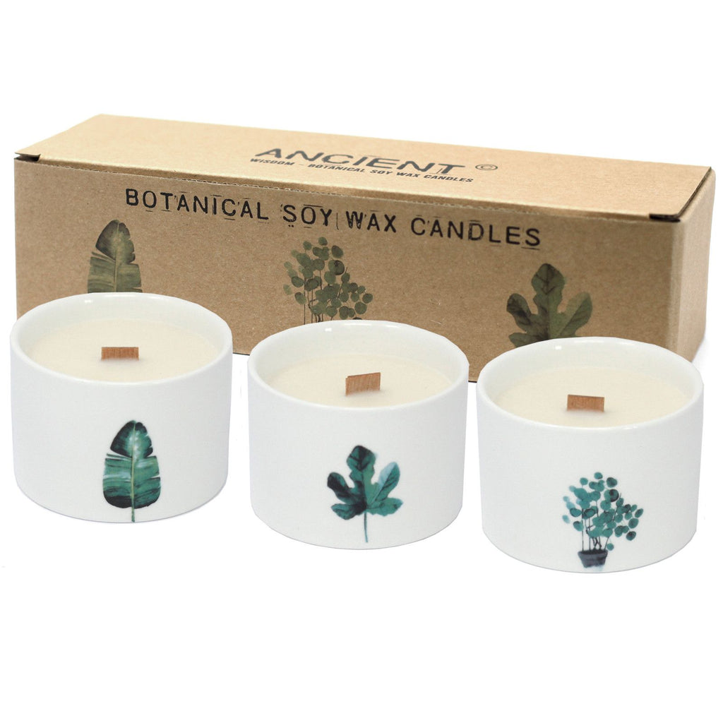 Botanical Candles Medium Ceramic Med Botanical Candles - Japanese Garden Product Image