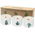 Botanical Candles Medium Ceramic Med Botanical Candles - Lemon Honeysuckle Product Image