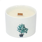 Botanical Candles Medium Ceramic Med Botanical Candles - Lemon Honeysuckle