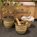 Seagrass Shaped Vase Set of Three