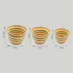 Seagrass Shaped Vase Set of Three