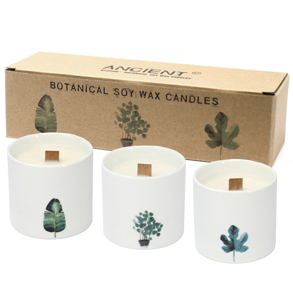 Botanical Candles Large Ceramic Large Botanical Candles - Marsh Viola Product Image