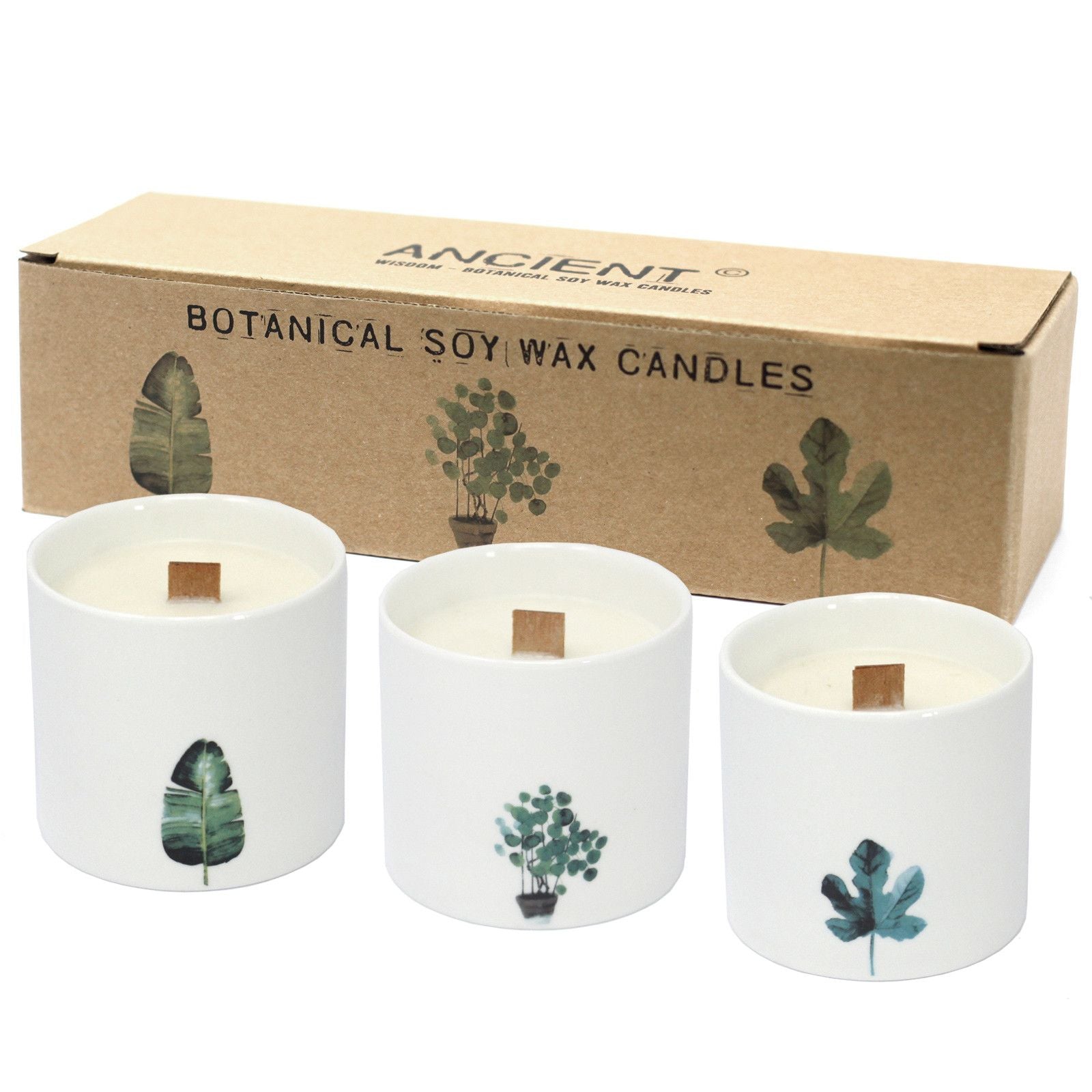 Botanical Candles Large Ceramic Large Botanical Candles - Marsh Viola Product Image