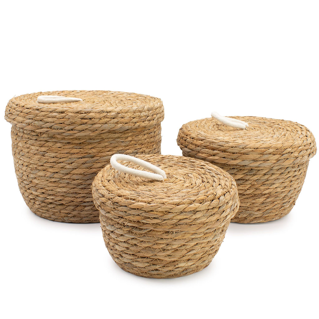 Seagrass Round Baskets-with-Lids Set of Three Product Image