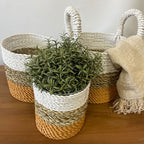 Seagrass Basket Set Orange Natural White