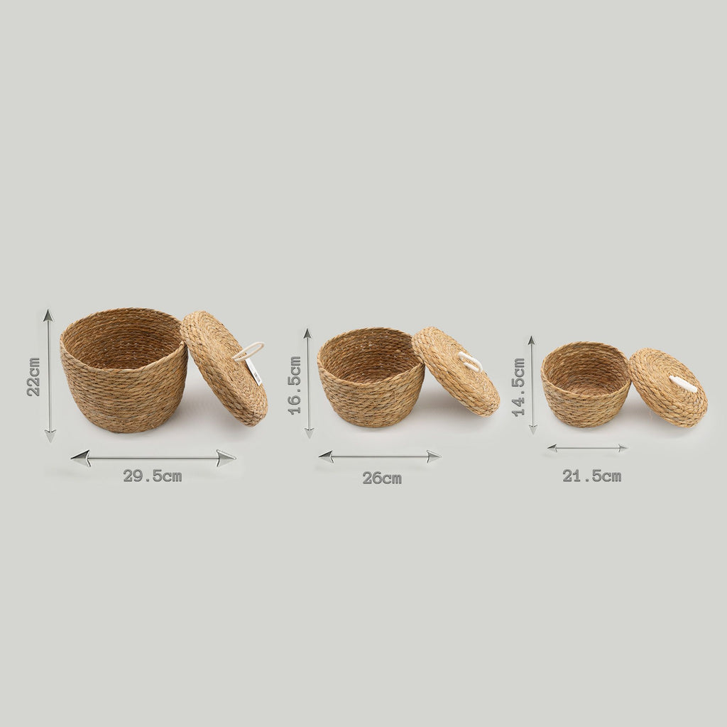 Seagrass Round Baskets with Lids Set of Three