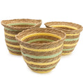 Seagrass Shaped Vase Set of Three