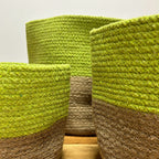 Cotton Rope Storage Baskets Pistachio Set of Three