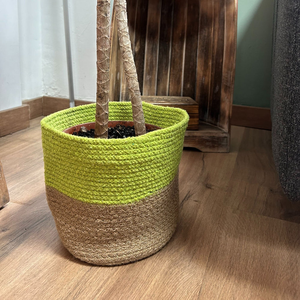 Cotton Rope Storage Baskets Pistachio Set of Three