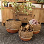 Large Seagrass Baskets Natural Orange Set of Three
