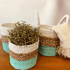 Seagrass Basket Set Green Natural White