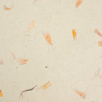 Paper A4 - Lokta Craft Paper (20 sheet pack) - Marigold Pack of 20 Sheets Product Image